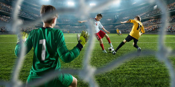 下的行为举 下的行为举