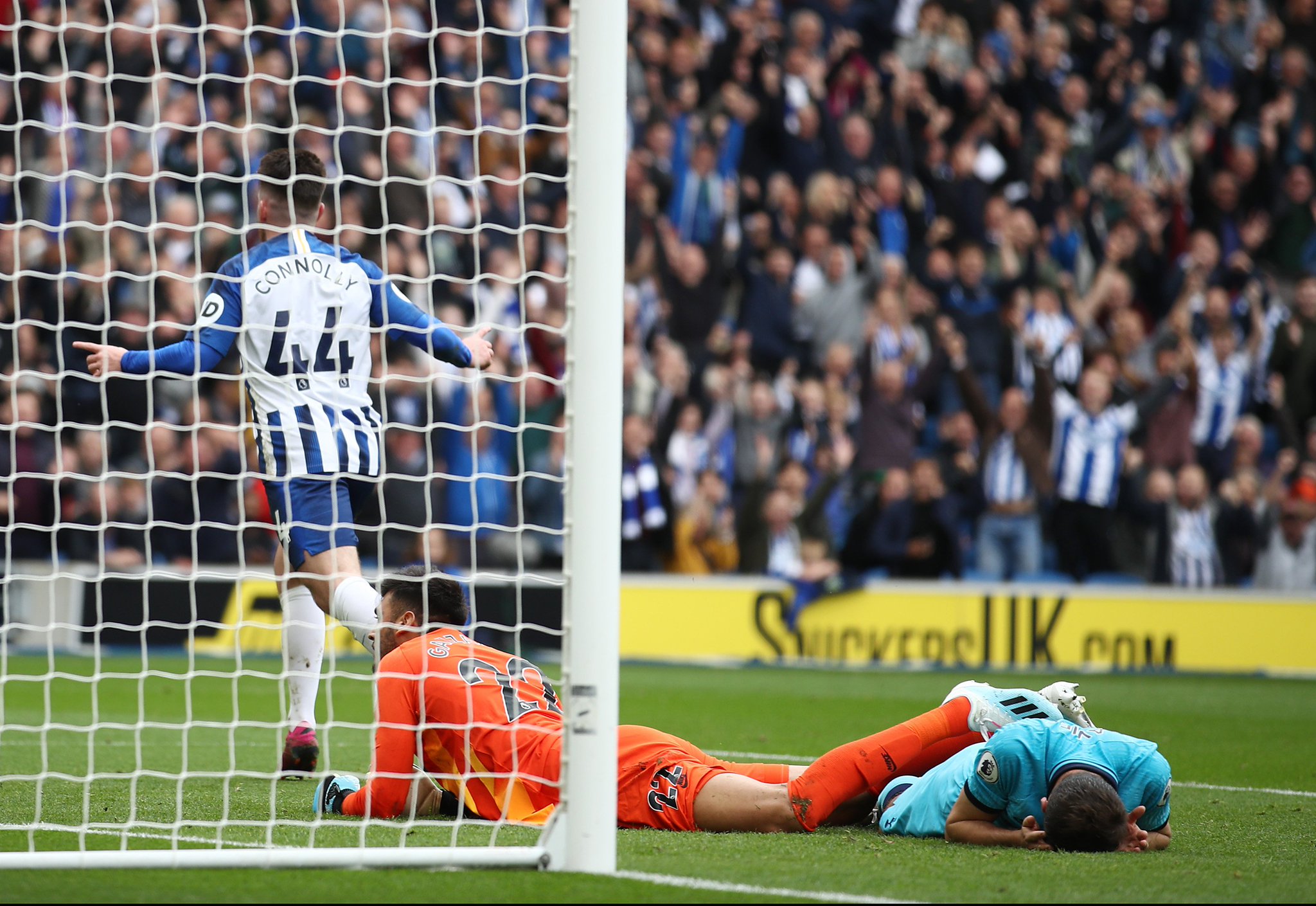 的鲜活小鱼 的鲜活小鱼